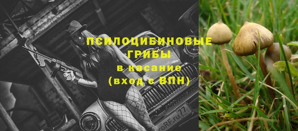 трава Армянск