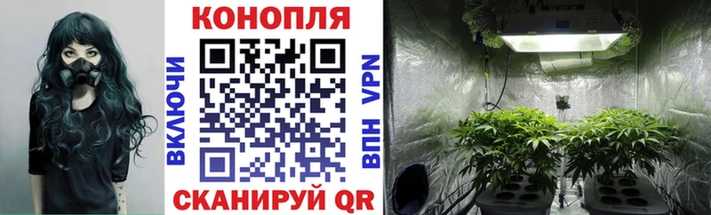 blacksprut ССЫЛКА  Новозыбков  Бошки марихуана THC 21%  купить  